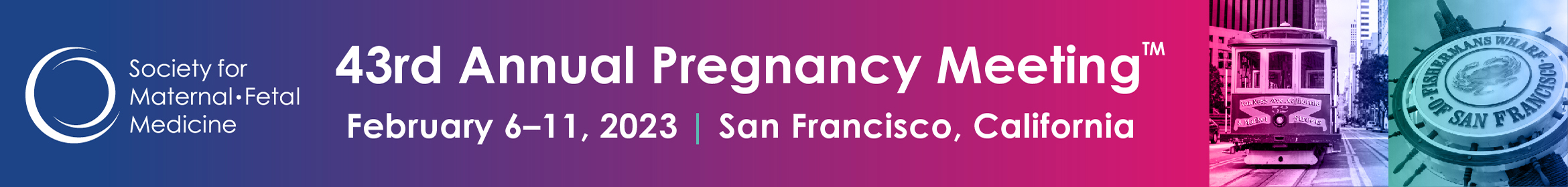43rd Annual Pregnancy Meeting Main banner